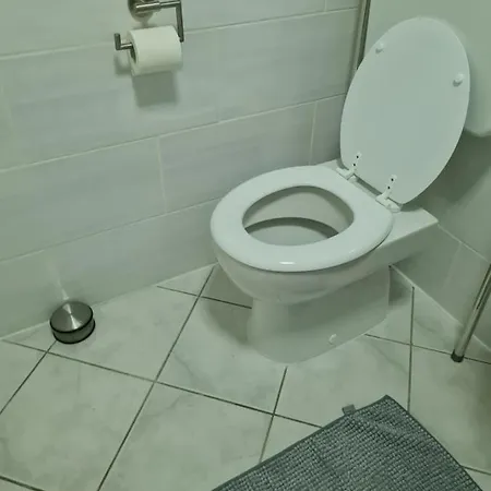 Hostel Haupt 3 *